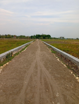 Pembangunan Makadam dan Talud Jalan RT 01 RW 01